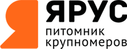 Студия ландшафтные работы, дизайн и благоустройство